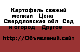 Картофель свежий мелкий › Цена ­ 3 - Свердловская обл. Сад и огород » Другое   